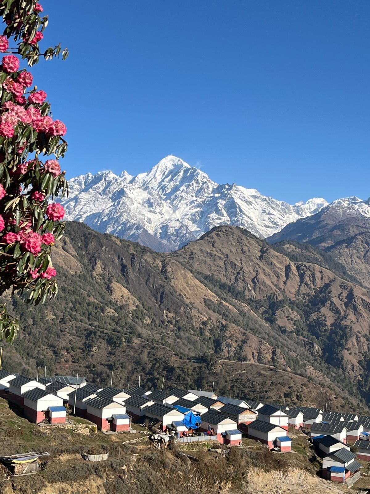 गुप्सी नमुना बस्ती सामुदायिक होमस्टे स् २७०० मिटर उचाइमा संस्कृति, हिमाल र शान्तिको अनुपम संगम