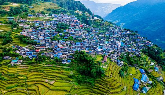 वनफूलले ढकमक्क चौंरी खर्क