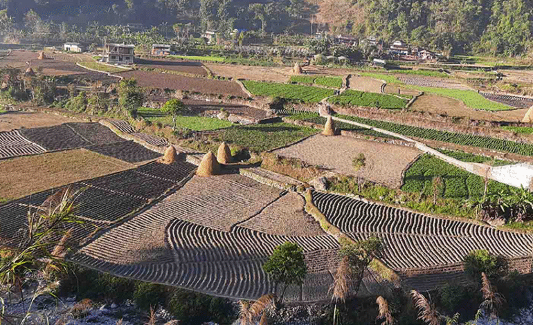 कृषि क्षेत्रमा छैन अद्यावधिक एकीकृत तथ्यांक