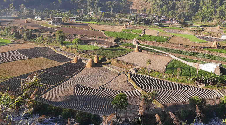 कृषि क्षेत्रमा छैन अद्यावधिक एकीकृत तथ्यांक