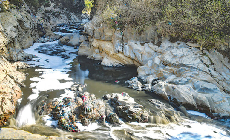 पर्यावरणीय हत्या र जलवायु न्याय