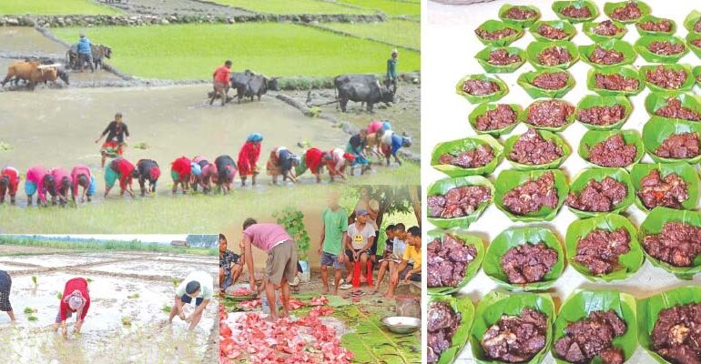 हर्दहवा : थारूको उत्सव