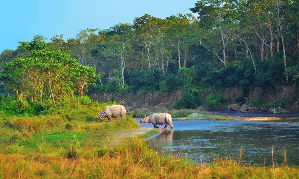 वर्षातले सौराहामा घटायो पर्यटक
