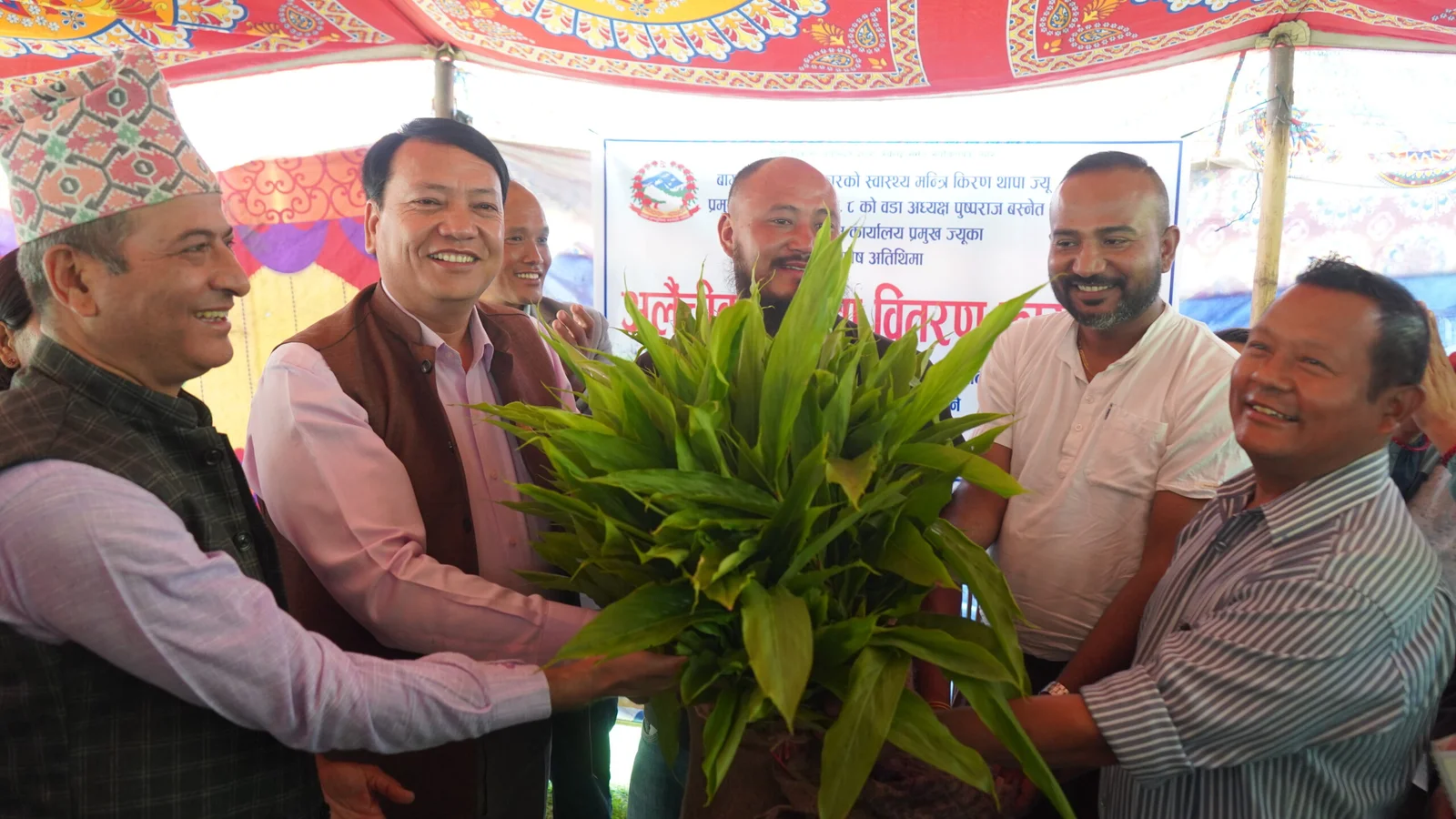 कृषि र पर्यटनको संगम: आशापुरी सामुदायिक होमस्टेबाट अलेँची प्रवर्द्धन अभियानको शुभारम्भ ।