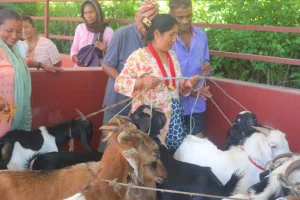 पालुङटारमा हाट बजार उद्घाटन : स्थानीय उत्पादनलाई सहज बजार पहुँच(फोटो फिचर सहित)